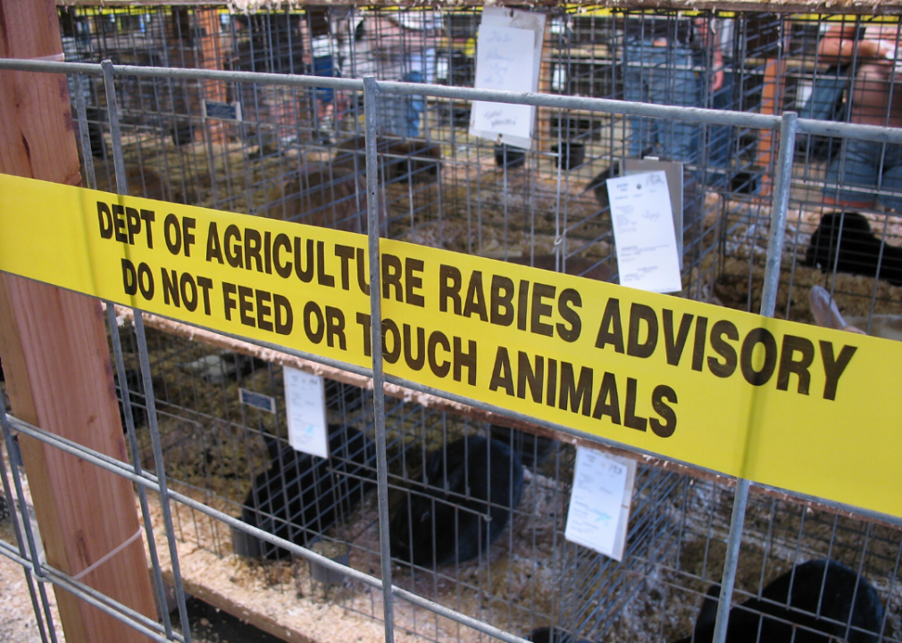 Zoonosis
